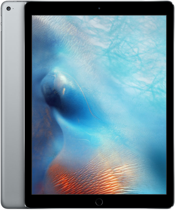 12.9インチ iPad Pro (第1世代) スペースグレイ